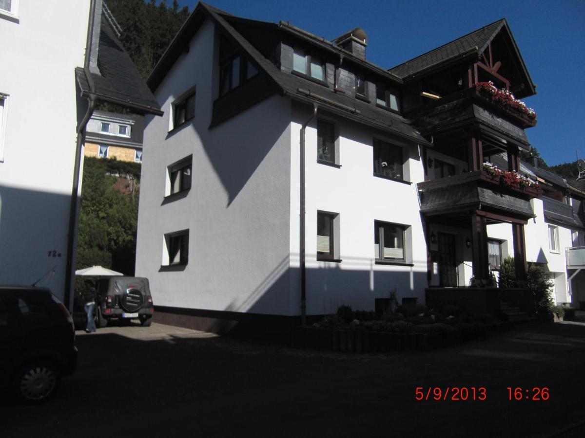 Ferienwohnung Ortsmitte-Willingen Willingen  Luaran gambar