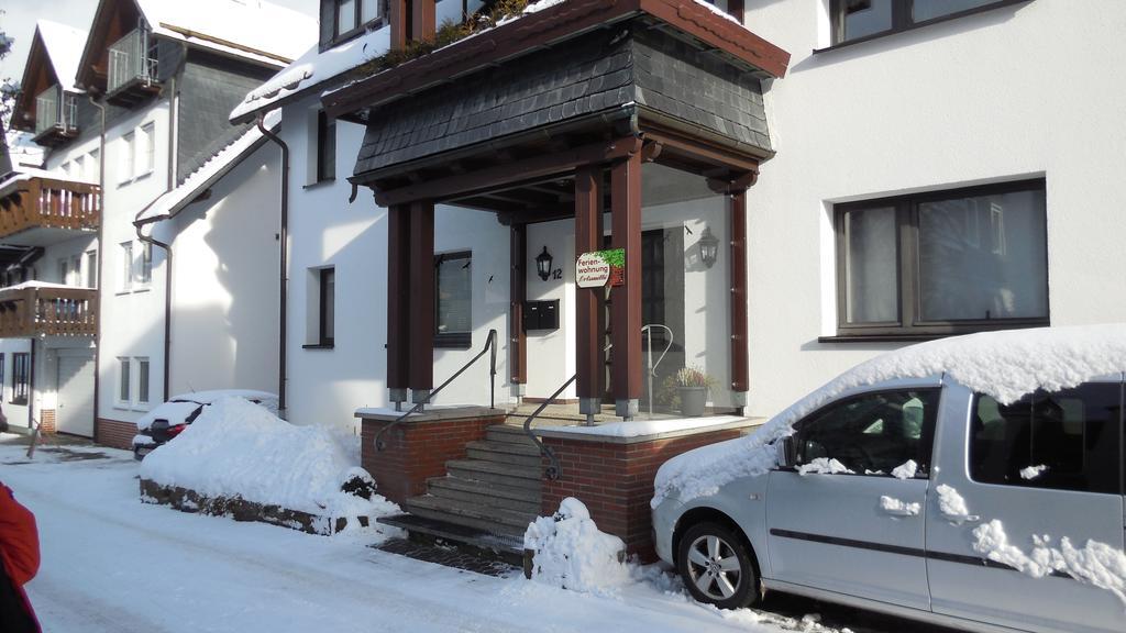 Ferienwohnung Ortsmitte-Willingen Willingen  Luaran gambar