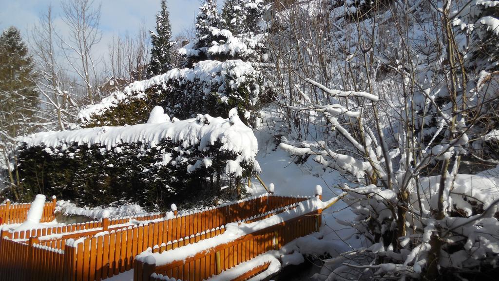 Ferienwohnung Ortsmitte-Willingen Willingen  Luaran gambar