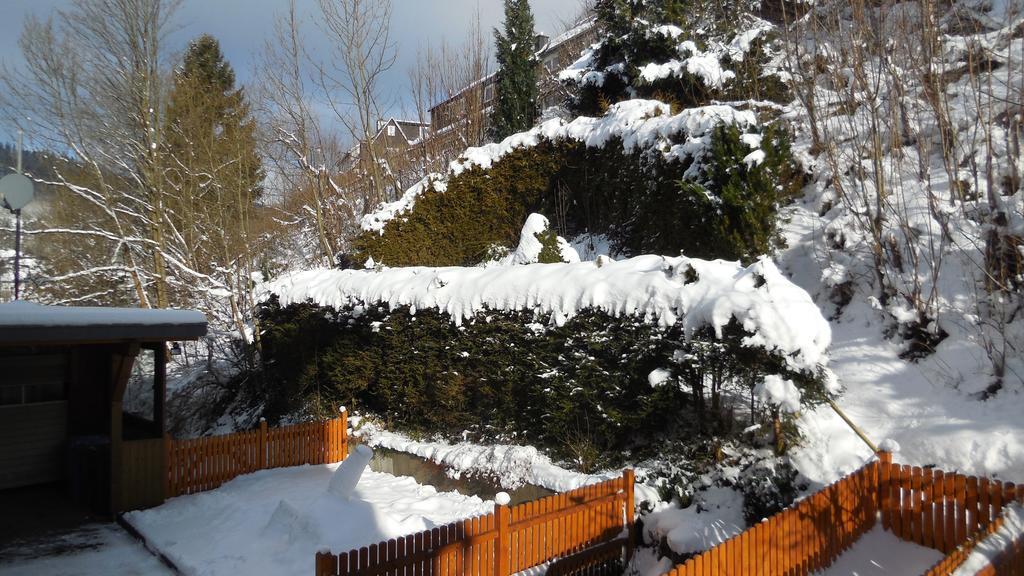 Ferienwohnung Ortsmitte-Willingen Willingen  Luaran gambar