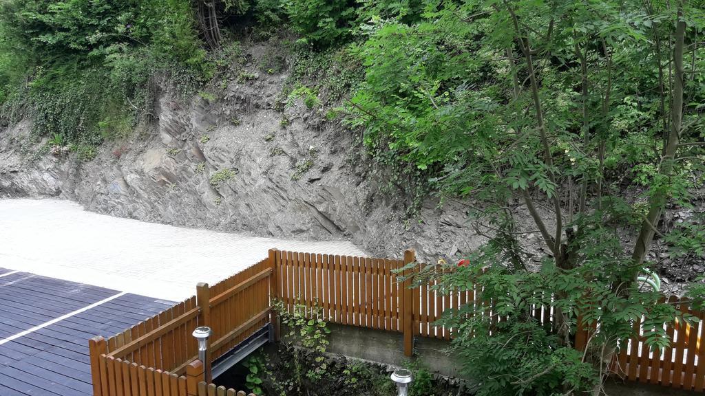 Ferienwohnung Ortsmitte-Willingen Willingen  Luaran gambar